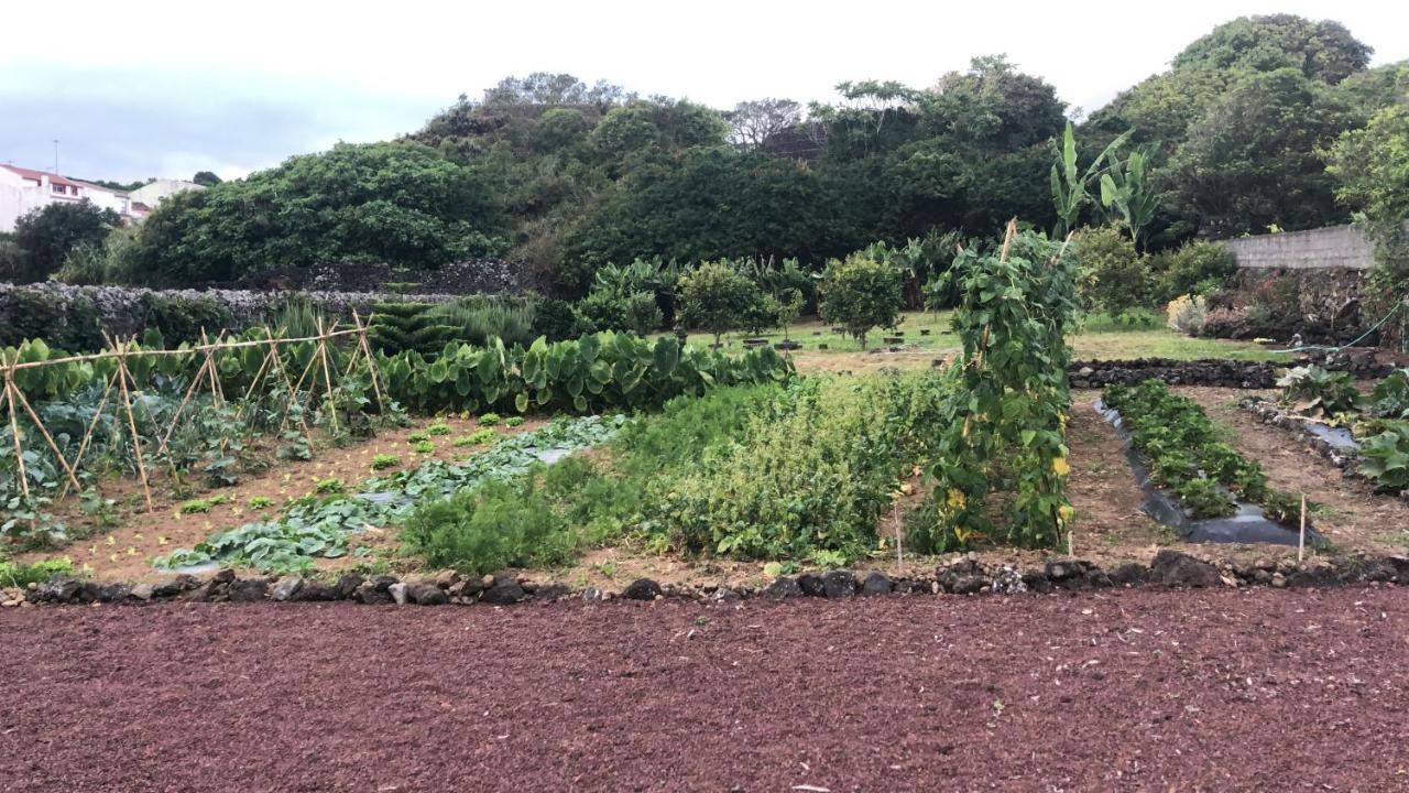 LivramentoCasa Da Malta别墅 外观 照片